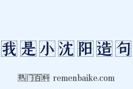 我是小沈阳造句是什么意思的图片